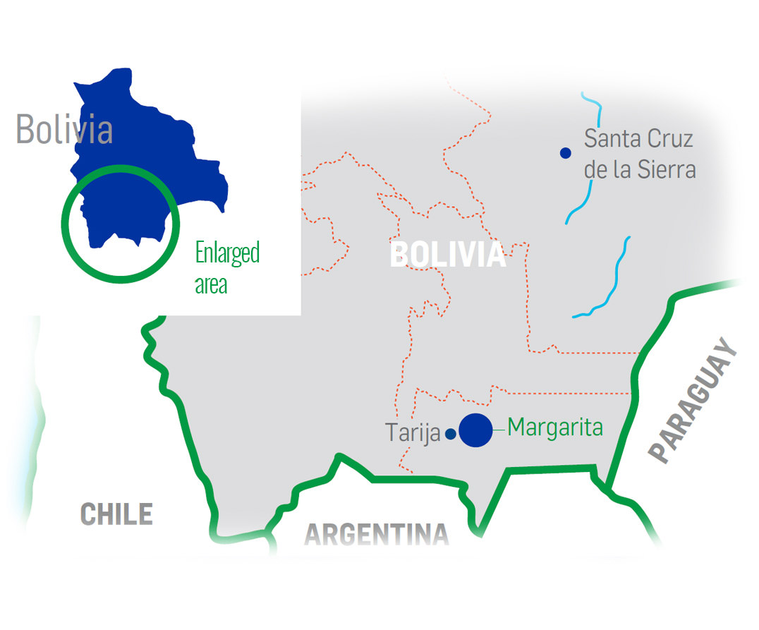 UPSTREAM BOLIVIA