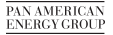 Pan American Energy Group Logo